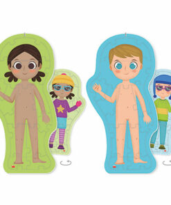 Puzzle: o corpo humano