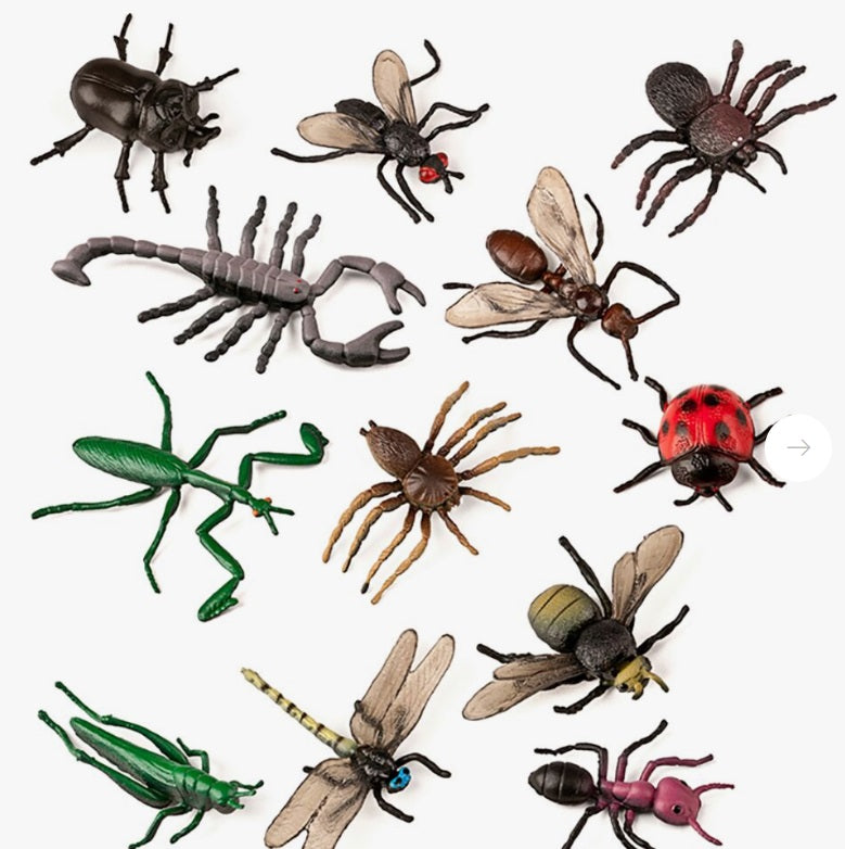 Conjunto de 12 insetos