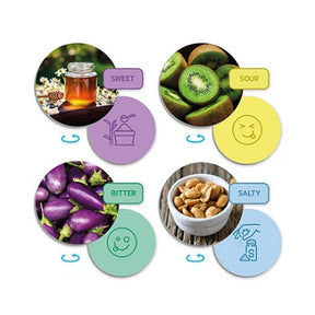 O sentido do paladar e os sabores