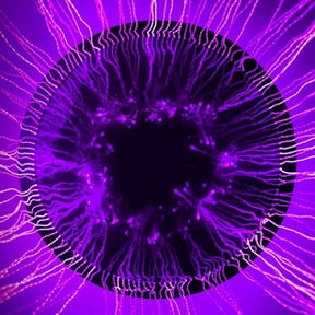 Cortina sensorial de fibra ótica