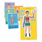 Montessori - Corpo humano (3 aos 6 anos)