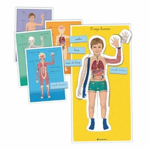 Montessori - Corpo humano (3 aos 6 anos)